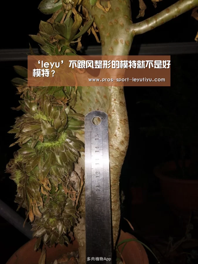 ‘leyu’不跟风整形的模特就不是好模特？
