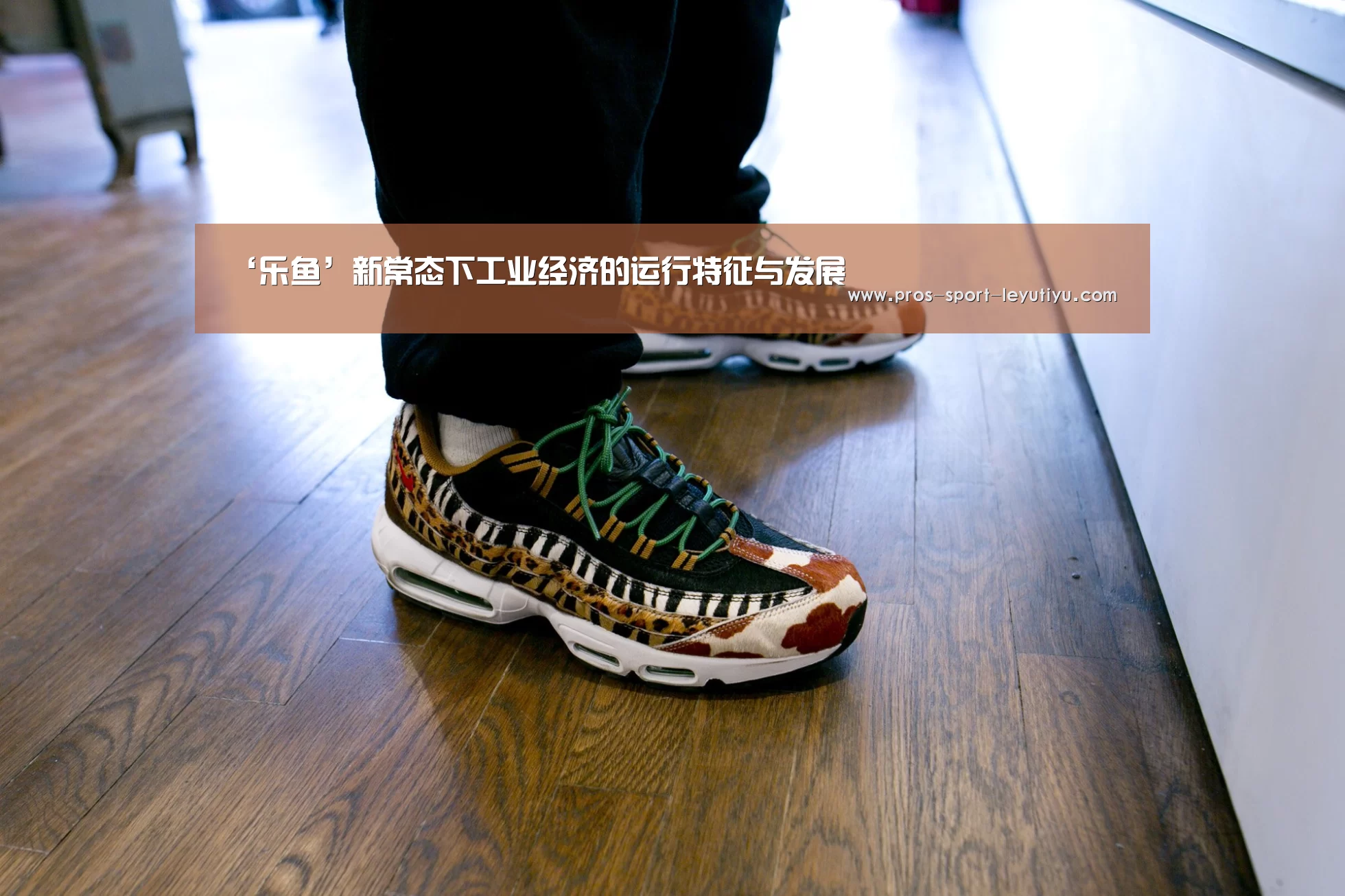 乐鱼