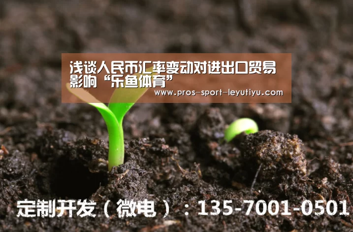 浅谈人民币汇率变动对进出口贸易影响“乐鱼体育”(图3)
