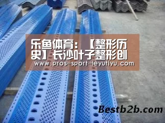 乐鱼